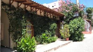 a building covered in ivy with flowers and plants at Muses in Neos Marmaras