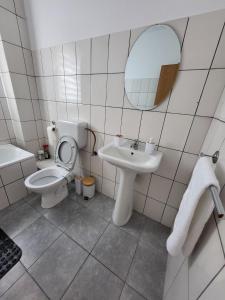 Ένα μπάνιο στο Apartament 3 camere Selimbar Octavian Goga