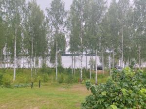 a group of trees with a building in the background at Dream house in Savonlinna