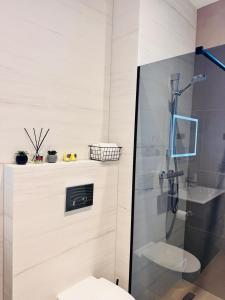 une salle de bain avec douche et toilettes dans l'établissement COZY Apartment - Titu Maiorescu Residence, à Bîrlad