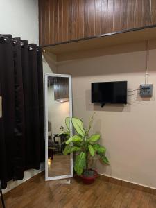 sala de estar con TV y maceta en Ixora homestay, en Dibrugarh
