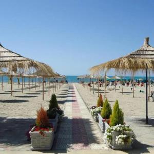 una playa con una hilera de sombrillas y plantas en Flori Apartment, en Golem