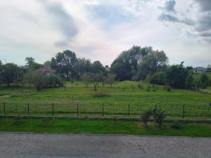 a field of grass with trees and a fence at Noclegi u Wilka in Chorzelów