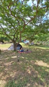 a person laying in the grass under a tree at Eco Camping Las Penitas in Las Peñitas +20 photos