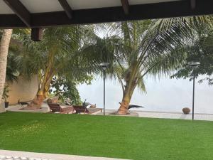 Habitación con palmeras y vistas al océano en Aqua Leisure Resort Bentota, en Bentota