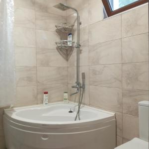 a bathroom with a shower with a toilet and a tub at Green Side - Olegi in Batumi +23 photos