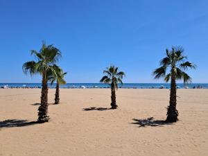 a row of palm trees on a sandy beach at Appartement refait à neuf, climatisé, en rez-de-jardin, à 30 secondes de la plage in Narbonne-Plage