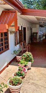 a group of potted plants sitting on the porch of a house at Shara HomeStay in Trincomalee