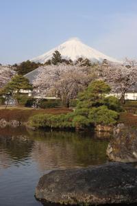 Φυσικό τοπίο κοντά σε αυτή η παραθεριστική κατοικία