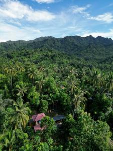 a house in the middle of a forest with palm trees at De Chicktoria Hostel in Pawenang