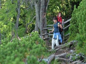 a man and woman walking on a trail in the woods at Chalet in Kolbnitz near Ski Slopes in Penk
