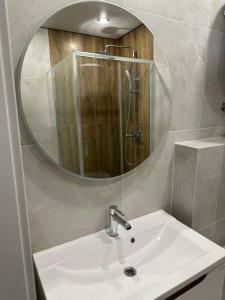 een badkamer met een wastafel en een grote spiegel bij Тематичні апартаменти in Zhytomyr
