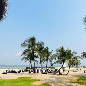 un groupe de palmiers et de bus sur une plage dans l'établissement Seaview 2B1R 3pax Condo Forest City 3E-2216, à Kampong Pok Kechil