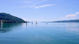 Příroda nedaleko apartmánu + 3 fotografie