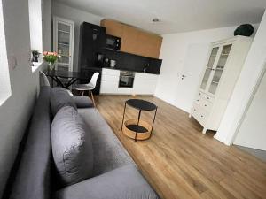 Kuchyň nebo kuchyňský kout v ubytování Bodensee Oase