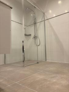 a bathroom with a shower with a glass door at Stuv am Spieker in Munster +18 photos