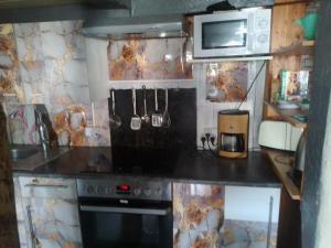 a kitchen with a stove and a microwave at Holiday Appartement Olsberg in Olsberg