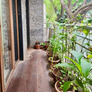 a corridor with potted plants in a greenhouse at Cozy Corner in Bengaluru