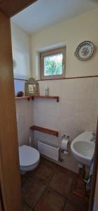 a bathroom with a toilet and a sink at Grünoase vor den Toren Salzburgs in Freilassing
