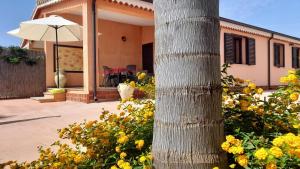 a palm tree in front of a house with yellow flowers at Casa Maria Teresa in Cardedu