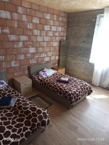 Fotografie z fotogalerie ubytování Guest house River side Adishi v destinaci Adishi