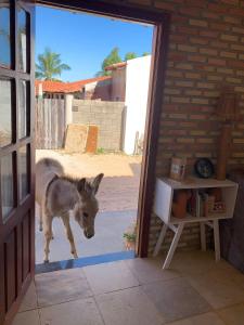 Photo de la galerie de l'établissement Pousada Viva Barra - Barra Grande - Piauí, à Barra Grande 38 autres photos