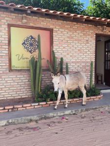 Photo de la galerie de l'établissement Pousada Viva Barra - Barra Grande - Piauí, à Barra Grande
