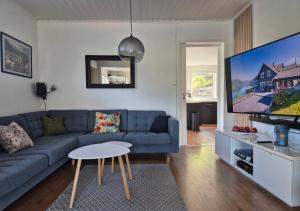 TV a/nebo společenská místnost v ubytování Bluewater Cottage - Blåvannshytta