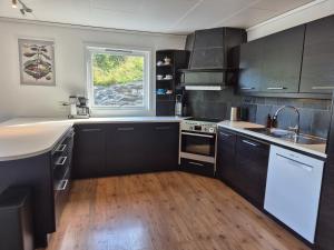 Kuchyň nebo kuchyňský kout v ubytování Bluewater Cottage - Blåvannshytta