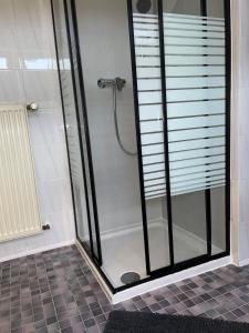 a shower with a glass door in a bathroom at Apartment in Marburg in Marburg an der Lahn +12 photos