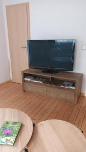 una TV a schermo piatto seduta su un centro di intrattenimento in legno di Ferienhaus Hoher Vogelsberg a Herbstein