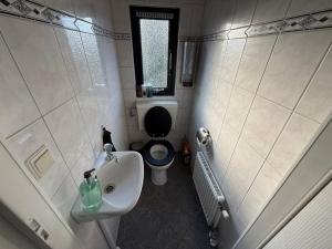 a small bathroom with a toilet and a sink at BlackPearl Chalet Hattemerbroek in Hattemerbroek +7 photos