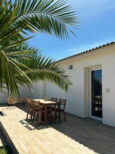 a table and chairs on a patio with a palm tree at Logement indépendant avec piscine privée in Penta-di-Casinca +25 photos