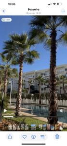 two palm trees next to a swimming pool at Luxe appartement in Bouznika