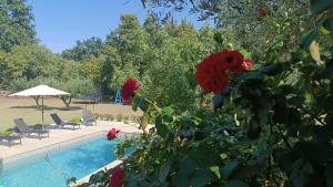 a swimming pool with red flowers next to a resort at Villa Križanci in Žminj