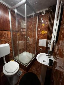 a bathroom with a shower and a toilet and a sink at Cabană în inima munților 2 - Gálkuti Kulcsosház in Bălan +22 photos