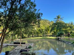 einen Teich in einem Park mit Bäumen und einem Feld in der Unterkunft Villa Airunika in Bandar Lampung