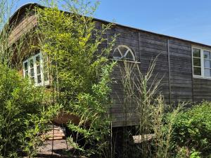 a house with a bunch of plants in front of it at Haus Evelynchen auf Rädern Deutschhof in Deutschhof