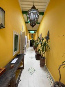Gallery image of Appartement Riad Sidi Magdoul in Essaouira