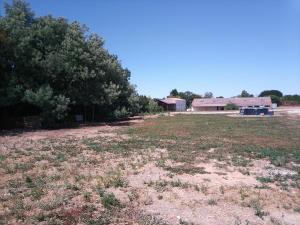 un campo vuoto con alberi e una casa sullo sfondo di Camping les Petites Roches a Corme-Royal