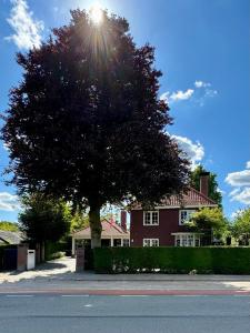 a tree in front of a house with the sun shining at B&B bij Germaine in Heeze