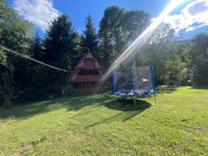 a house with a sprinkler in a field with a chair at Cabana trei paltini in Poiana Vadului