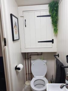 a bathroom with a white toilet and a cabinet at Merrywell Shepherds Hut & Paddock in Offenham