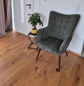 una sedia verde in una stanza con una pianta di Ferienwohnung NoEl a Dietmannsried