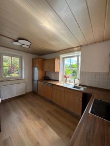 a kitchen with wooden cabinets and a sink in a room at Altstadtvilla in Vohburg in Vohburg an der Donau