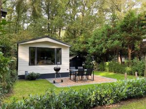a small cabin with a table and chairs in a yard at chalet in the woods with pool in Vledder