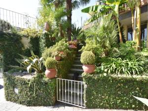 a garden with potted plants in a building at Chalet by Lake Maggiore with Garden Views in Verbania
