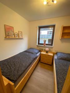 a bedroom with two beds and a window at Neu - Ferienwohnung Allgäuparadies - Traumhafte Aussichten mitten in der Natur des Westallgäus in Oberreute