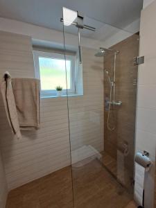 a bathroom with a glass shower with a window at Apartmán Dukla in Pardubice
