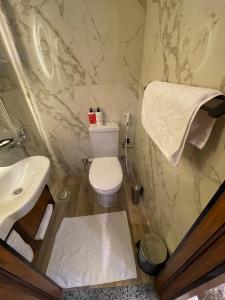 a bathroom with a toilet and a sink at Excellent Location cairo in Cairo +55 photos